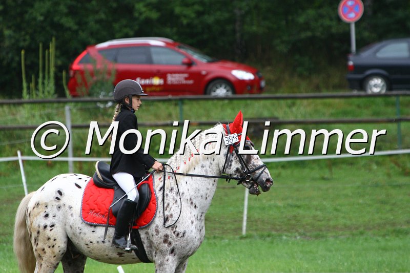 007L7319_Hedonis of Independence_Springreiter WB.JPG